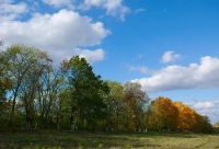 Лот: 13389309. Фото: 5. Kodak DCS Pro SLR/C Лучший в мире...