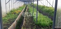 Лот: 25289736. Фото: 8. 2-комн. дача , садоводческое некоммерческое...