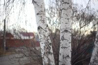 Лот: 5214323. Фото: 6. Гелиос 44 (Красногорский МЗ, 8...