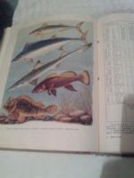 Лот: 3482141. Фото: 5. Настольная книга рыболова- спортсмена...