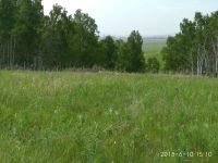 Лот: 12955351. Фото: 4. Продается участок 10 соток земельный... Красноярск