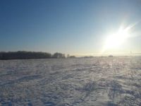 Лот: 7136025. Фото: 2. земельный участок с.Шуваево. Продажа