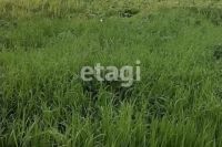 Лот: 25289939. Фото: 11. 2-комн. дача , Красноярск Красноярск...