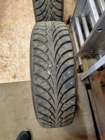 Лот: 19565276. Фото: 5. SAVA Eskimo Stud