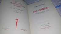 Лот: 11196588. Фото: 2. ЖЗЛ, Леся Украинка, Анатоль Костенко... Литература, книги