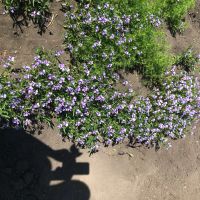 Лот: 16157051. Фото: 5. Подставка для ульев