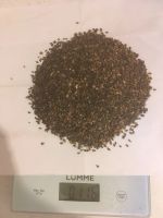 Лот: 15030771. Фото: 4. Семена голубой ели. Красноярск