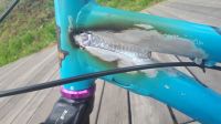 Лот: 16448096. Фото: 5. Mtb mongoose fireball 26
