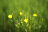 Лот: 5705102. Фото: 7. Гелиос 44 "58mm f2.0 (КМЗ Буква...