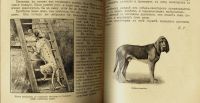 Лот: 15221341. Фото: 5. Мирок. Ежемесячный иллюстрированный...