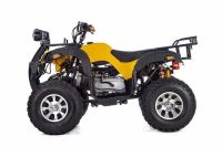 Лот: 25636264. Фото: 4. Квадроцикл RAPTOR Max Pro 250... Красноярск