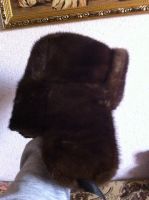 Лот: 4566737. Фото: 3. Ушанка. Норка. Одежда, обувь, галантерея