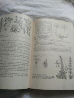 Лот: 15528019. Фото: 4. Определитель высших растений средней... Красноярск