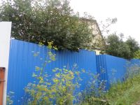 Лот: 4934342. Фото: 5. дачу малый кускун
