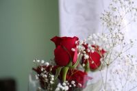 Лот: 8586419. Фото: 6. Canon EF 50 1.2L (Топовое стекло...