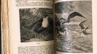 Лот: 20058018. Фото: 16. Чарльз Дарвин. Собрание сочинений...