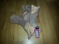 Лот: 7968306. Фото: 2. Коряга керамика. Аквариумистика