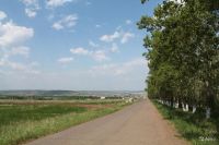 Лот: 4605623. Фото: 2. Земельный участок. р-н Емельяново... Продажа