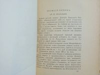 Лот: 25264158. Фото: 7. К.Дубровский. Рожденные в стране...