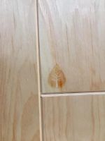 Лот: 16935164. Фото: 5. Стеновая панель Кедр сорт А 17...