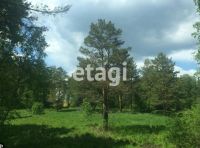 Лот: 25294799. Фото: 4. участок , деревня Раскаты деревня... Красноярск