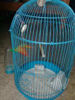 Лот: 11674633. Фото: 2. Клетка для попугая. Животные и уход