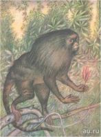 Лот: 15418513. Фото: 12. Константиновский Майлен - КОАПП...