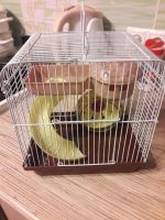 Лот: 9398313. Фото: 3. Клетка для грызуна ( использовалась... Растения и животные