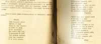 Лот: 19233462. Фото: 9. С.А.Золотарёв. Теория словесности...