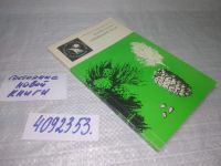 Лот: 16494169. Фото: 9. вб/oz(4092353)Сибирский кедр...
