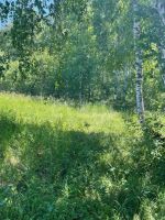 Лот: 25704387. Фото: 7. участок , посёлок городского типа...