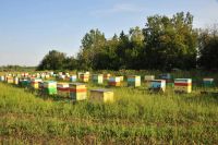 Лот: 4735833. Фото: 4. Подарочный набор ручной работы... Красноярск