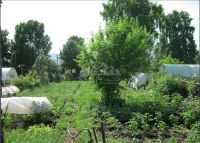 Лот: 15144531. Фото: 4. Продается дом 22 кв.м. 6 сот... Красноярск