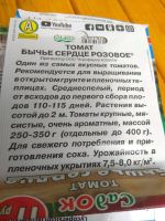 Лот: 17649388. Фото: 6. Томат /помидоры рассада