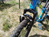 Лот: 13960018. Фото: 3. Corratec X-Vert Teen 24 (2016... Спортивные товары