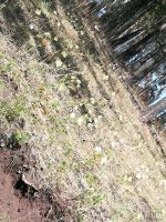 Лот: 13792765. Фото: 5. Участок 3.4 Га