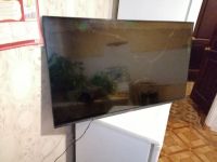 Лот: 25518761. Фото: 2. Телевизор Haier 43 Smart TV DX... ТВ и видео