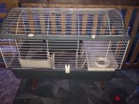 Лот: 5814067. Фото: 3. Клетка для грызунов. Растения и животные