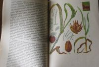 Лот: 20860454. Фото: 2. Аптека для растений. Книга для... Учебники и методическая литература