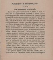 Лот: 25728631. Фото: 2. М.Вишневский. Рыбоводство и рыборазведение... Антиквариат