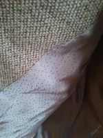 Лот: 5888384. Фото: 2. пальто детское. Одежда и аксессуары