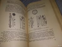 Лот: 18484863. Фото: 8. Генкель П.А., Кудряшов Л.В. Ботаника...
