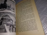 Лот: 19165085. Фото: 5. Кассис В. Б., Свирин С. Г. Таиланд...