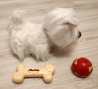Лот: 21107369. Фото: 2. Интерактивная игрушка щенок Baxter. Игрушки