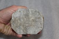 Лот: 20042189. Фото: 6. Шкатулка, набор для специй грибочки...