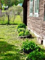 Лот: 25288973. Фото: 12. 2-комн. дача , деревня Красная...
