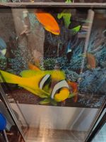 Лот: 24001269. Фото: 2. Стеклопакеты. Двери, окна, фурнитура