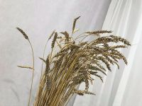 Лот: 16631001. Фото: 3. 🌾 ПШЕНица / РОЖЬ 2020 ОСТАлся... Красноярск