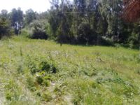 Лот: 7517386. Фото: 2. Земельные участки в Берёзовском... Продажа