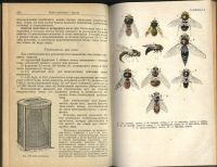 Лот: 2126548. Фото: 2. ветеринарная паразитология , части... Литература
